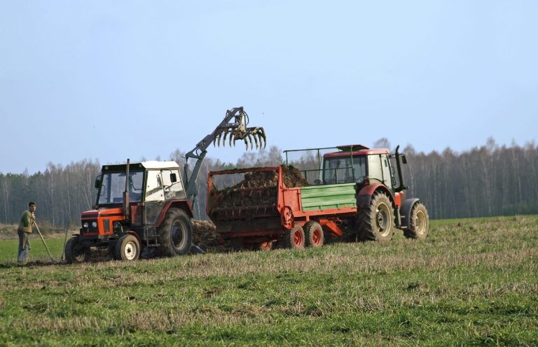 Bauernhof auflösen, entrümpeln und räumen